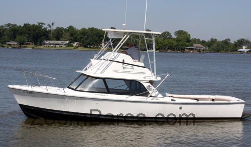 Bertram 31 Flybridge Cruiser recensioni e scheda tecnica